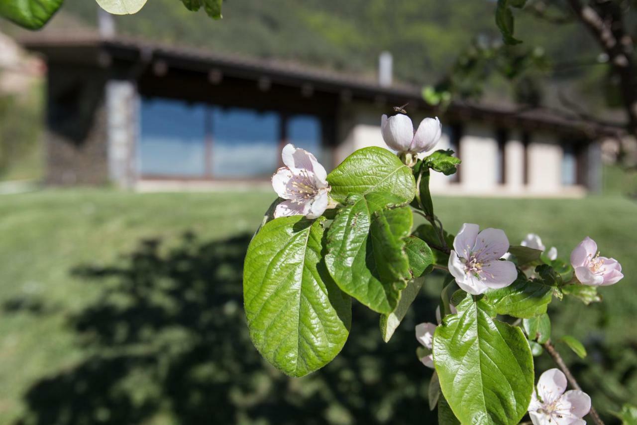 Villa Cal Sadurni Bruguera Esterno foto